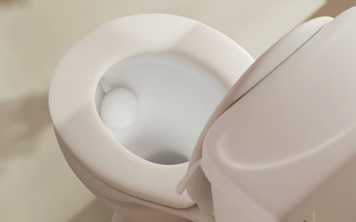 Withings U-Scan in der Toilette  (Bild: Withings)