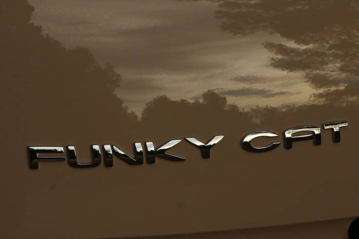 Was eine Funky Cat (flippige Katze) sein soll, bleibt wohl das Geheimnis der Marketingabteilung. In China heißt das Auto Ora Good Cat oder Ora Haomao. (Foto:Friedhelm Greis/Golem.de)