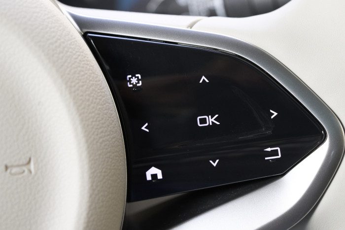 Mit dem rechten Bedienfeld am Lenkrad lässt sich die Anzeige im Fahrerdisplay verändern.  (Foto: Ora)