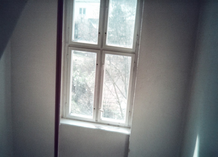 Bei Aufnahmen mit wenig Licht ist das Rauschen des Sensors auch nach der Bearbeitung mit Topaz Photo AI sichtbar. (Bearbeitung mit Lightroom und Topaz Photo AI) (Bild: Tobias Költzsch/Golem.de)