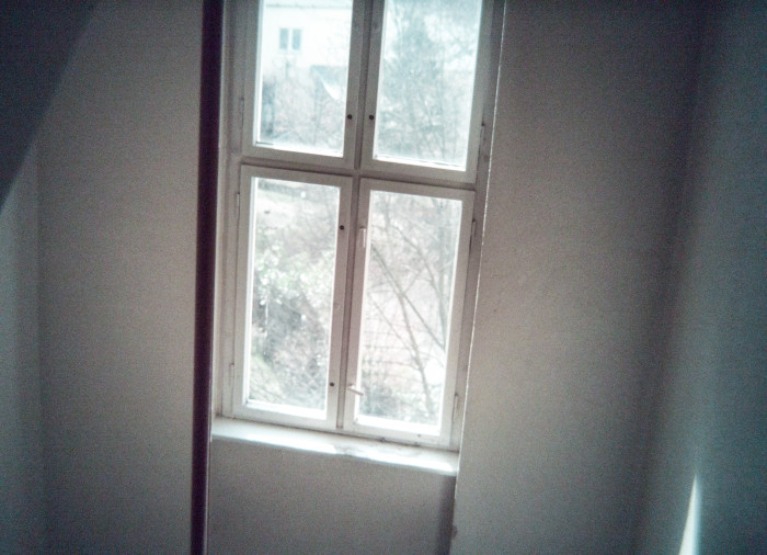 Die nur mit Lightroom, nicht aber mit Topaz Photo AI bearbeitete Version des Bildes (Bild: Tobias Költzsch/Golem.de)