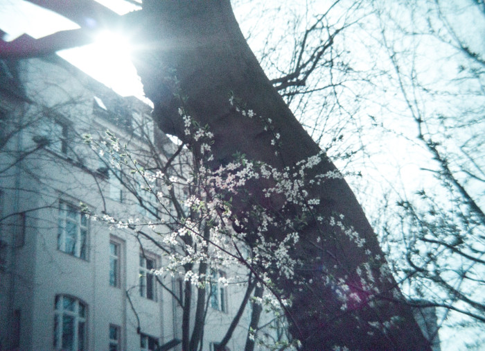 Die nur mit Lightroom, nicht aber mit Topaz Photo AI bearbeitete Version des Bildes (Bild: Tobias Költzsch/Golem.de)