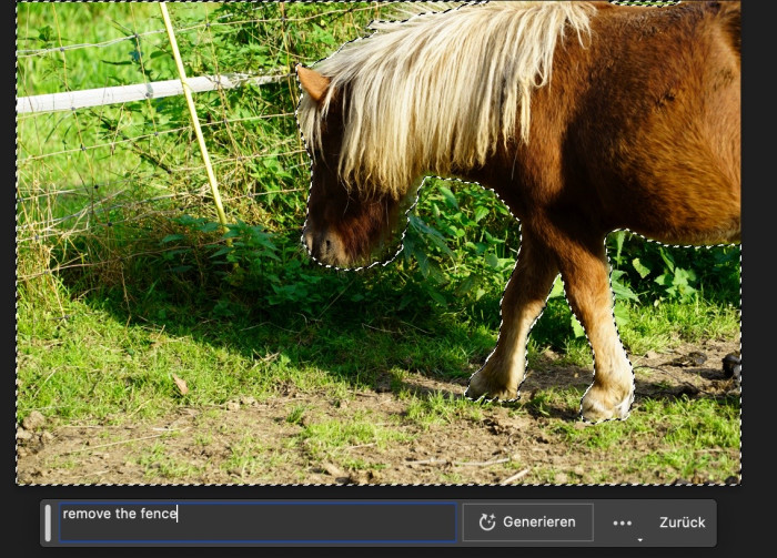 Der Zaun soll weg - dazu wird das Pferd maskiert (Foto: Andreas Donath)