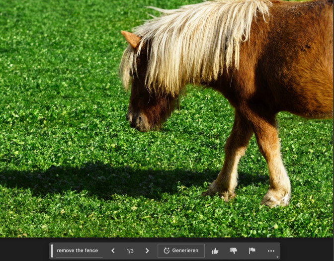 Schon steht das Pferd auf der Wiese  (Foto: Andreas Donath/Photoshop Beta)