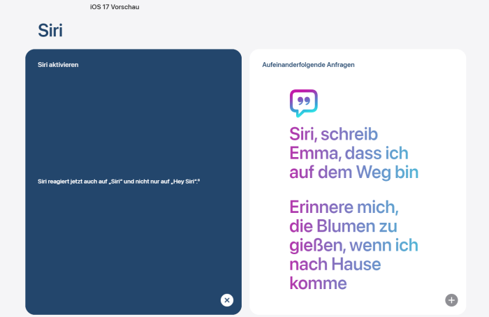 Erst wenn die erste Grafik angeklickt wird, ist die eine Fußnote zu sehen. (Bild: Apple/Screenshot: Golem.de)