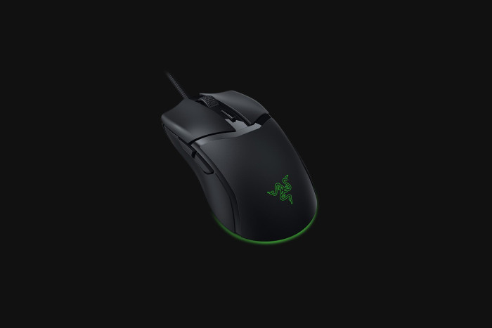 Razer Cobra (Bild: Razer)