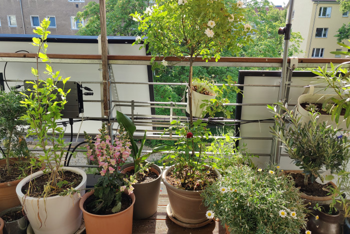 Das senkrechte Panel haben wir etwas niedriger befestigt, was die Sicht vom eigenen Balkon weniger beeinträchtigt. (Foto: Friedhelm Greis/Golem.de)