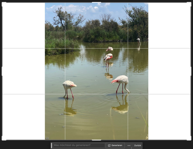 Bild: Andreas Donath