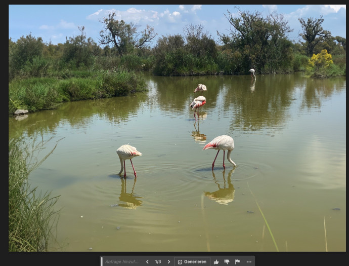 Bild: Andreas Donath