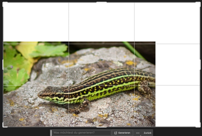 Bild: Andreas Donath