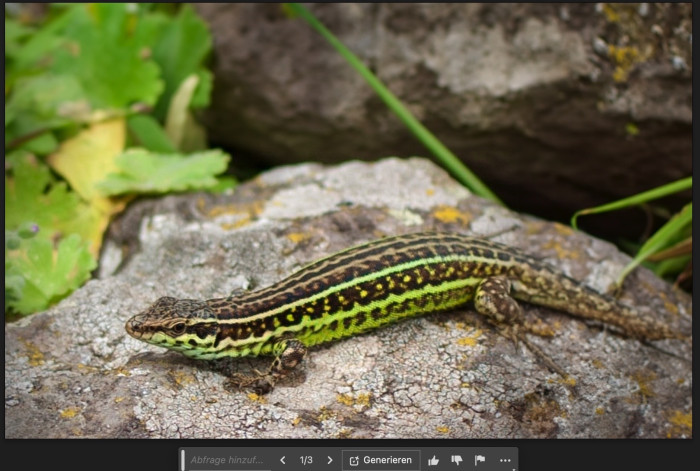 Bild: Andreas Donath