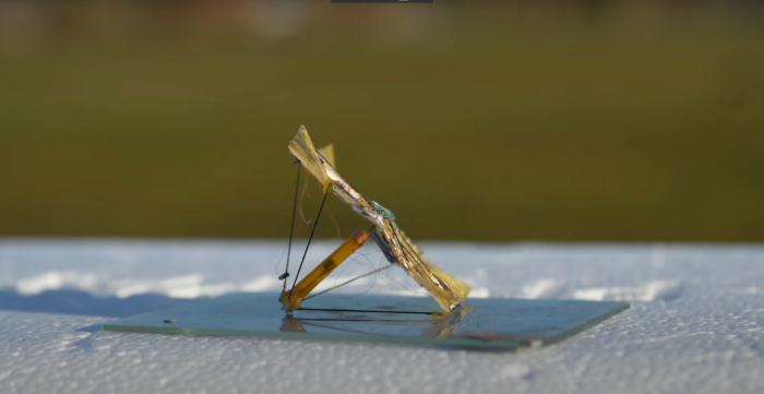 Origami Microfliers (Bild: University of Washington)