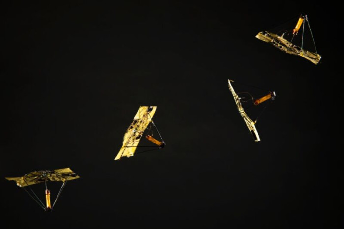 Origami Microfliers (Bild: University of Washington)