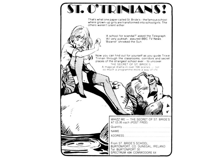 Werbung für The Secret of St. Brides. (Bild: St. Brides)