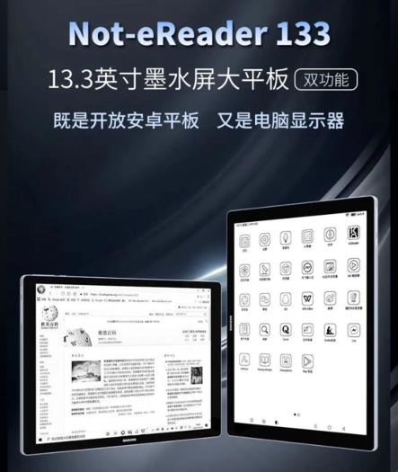 Not-Ereader 133 (Bild: Dasung)