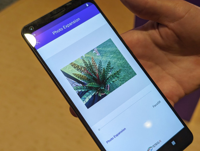Bei diesem Beispiel schafft es die KI zwar, das Blatt gut zu ergänzen. (Bild: Tobias Költzsch/Golem.de)