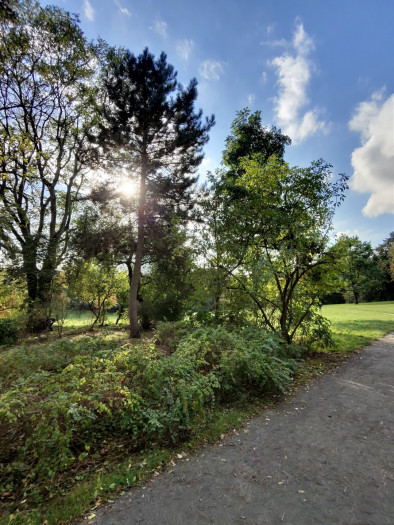 Ein Foto mit Metas Ray-Ban Smartglasses