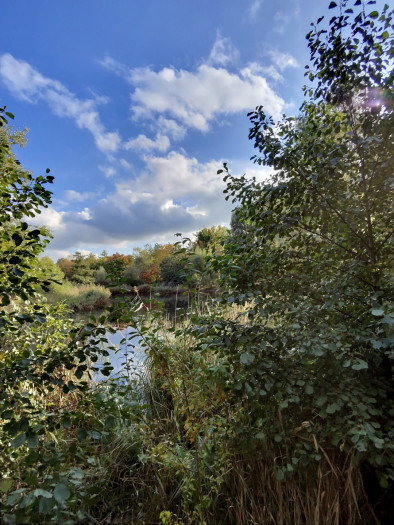 Ein Foto mit Metas Ray-Ban Smartglasses