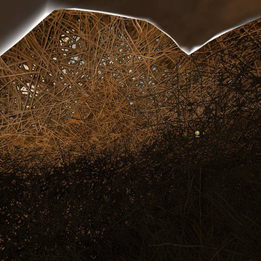 So sieht ein Heuhaufen in Assassin&#039;s Creed von innen aus. (Bild: Ubisoft/Screenshot: Golem.de)