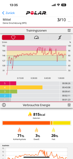 Der hohe 170er-Puls ist so gut wie sicher ein Fehler des Herzfrequenzsensors. (Bild: Polar/Screenshot: Golem.de)