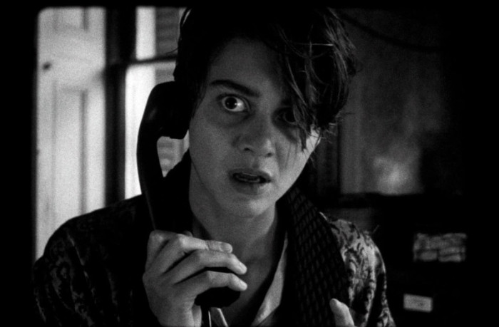 Lola (Bild: Neue Visionen Filmverleih)