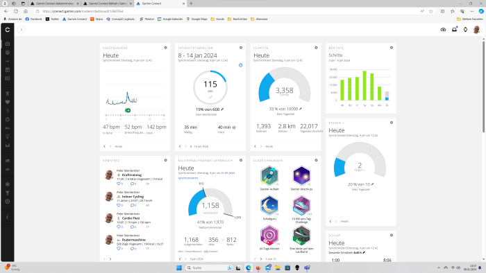 Hier die aktuelle Version von Garmin Connect im Web (Fitness-Ansicht) (Bild: Garmin/Screenshot: Golem.de)