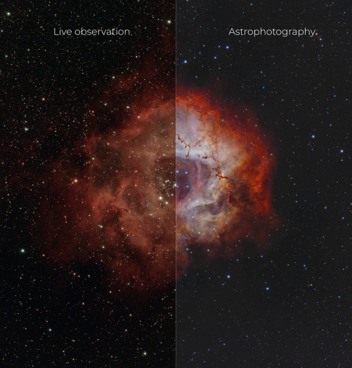 Live-Beobachtung vs. nachbearbeitete Daten einer Aufnahmesession - Rosettennebel (Bild: Vaonis)