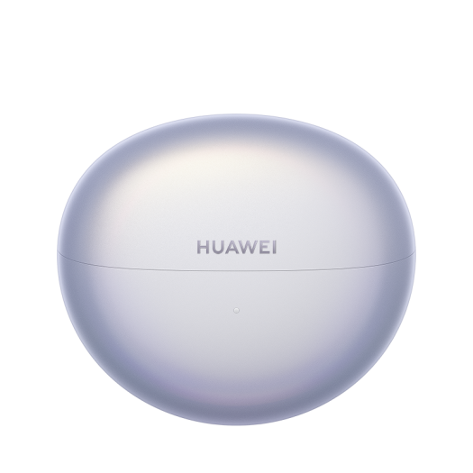 Freeclip-Ladeetui (Bild: Huawei)