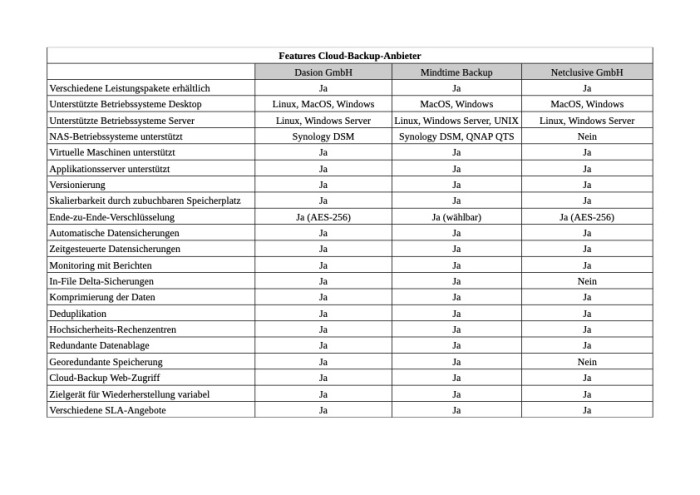 Die drei Backup-Lösungen im Überblick