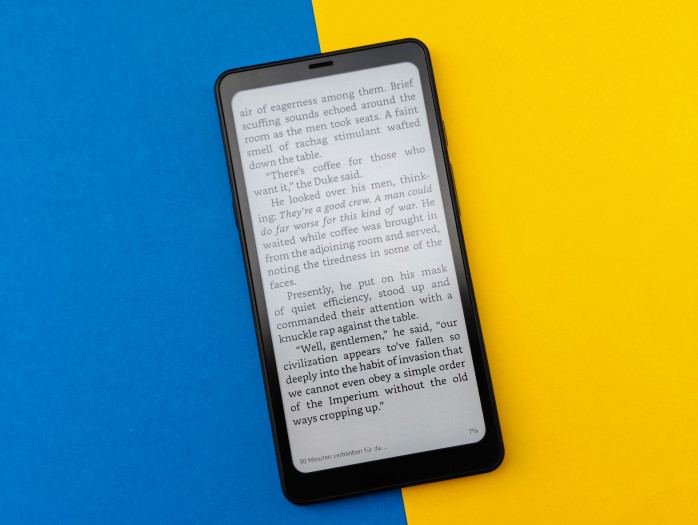 Dank Android lassen sich verschiedene E-Book-Apps auf dem Boox Palma verwenden. Außerdem unterstützt der E-Reader auch selbst zahlreiche Formate. (Bild: Tobias Költzsch/Golem.de)