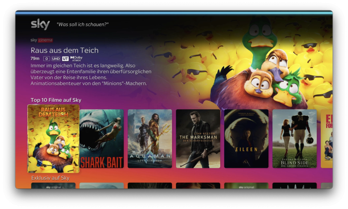Benutzeroberfläche von Sky Stream (Bild: Sky)