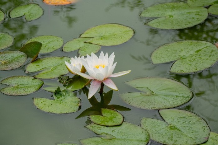 Ein Foto aus der GH7 (Bild: Martin Wolf/Golem.de)