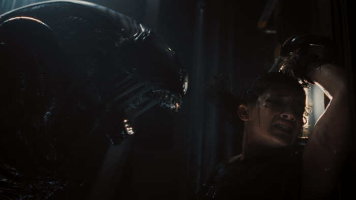 Bevor es so weit kommt, zögern die Xenomorphs in Romulus oft unnötig lange. (Bild: 20th Century Studios)