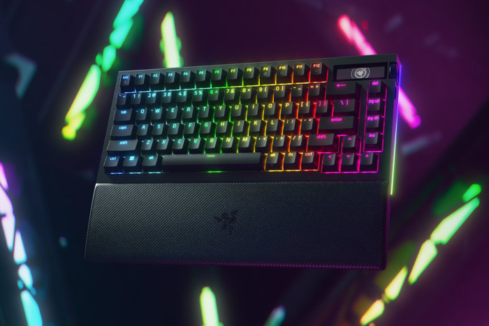 Blackwidow V4 Pro 75 % (Bild: Razer)