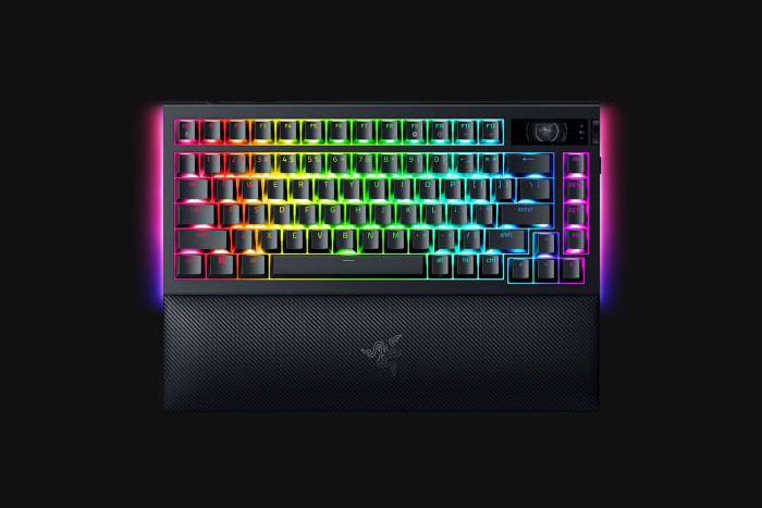 Blackwidow V4 Pro 75 % (Bild: Razer)
