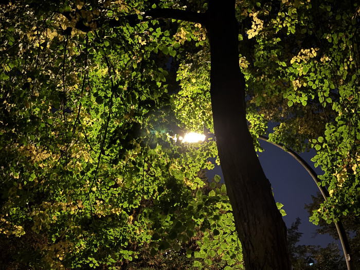 Farben werden wie gewohnt auch nachts satt dargestellt. (Bild: Tobias Költzsch/Golem.de)