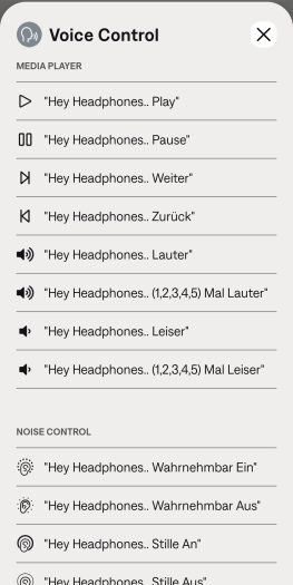 Diese Befehle kennt die Sprachsteuerung der Quiet Comfort Earbuds 3, Abweichungen werden nicht erlaubt. (Bild: Bose/Screenshot: Golem.de)
