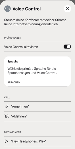 Nicht vorbildlich gelöst: Wir können die Sprache nur bei aktiver Internetverbindung ändern, aber ein Hinweis dazu fehlt hier. (Bild: Bose/Screenshot: Golem.de)