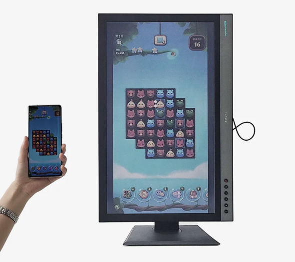 Dasung Paperlike Revo (Bild: Dasung)