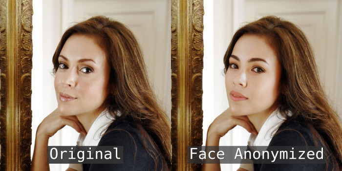 Beispielbild aus der Studie (Bild: Cornell University)