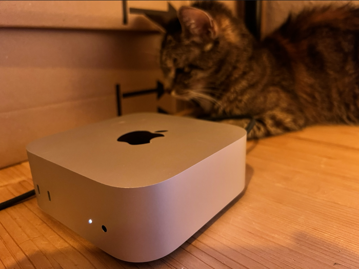 Katzen finden den neuen Mini-PC super. Der einfache Grund dafür ist das sehr warme Gehäuse und der beheizte Luftstrom auf der Rückseite, während der Rechner angenehm leise bleibt.(Bild: Martin Böckmann/Golem.de)