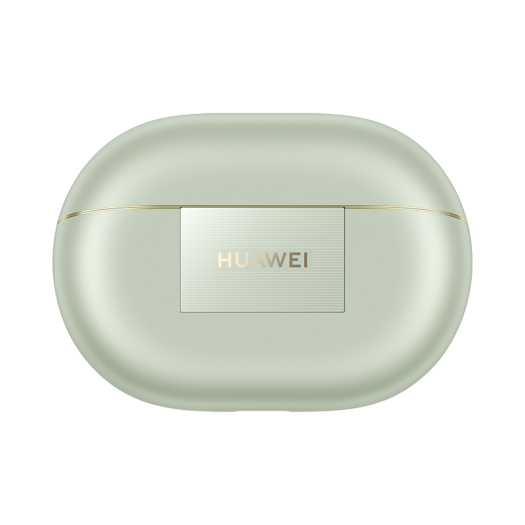 Freebuds Pro 4 im Test (Bild: Huawei)