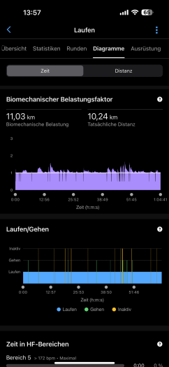 Die biomechanische Belastung ist wichtig für die Running Tolerance. (Bild: Garmin / Screenshot: Golem.de)