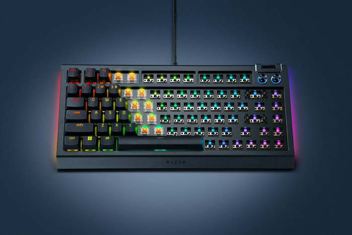 Razer Blackwidow 75 Barebones (Bild: Razer)
