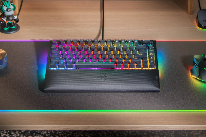 Razer Blackwidow 75 (Bild: Razer)