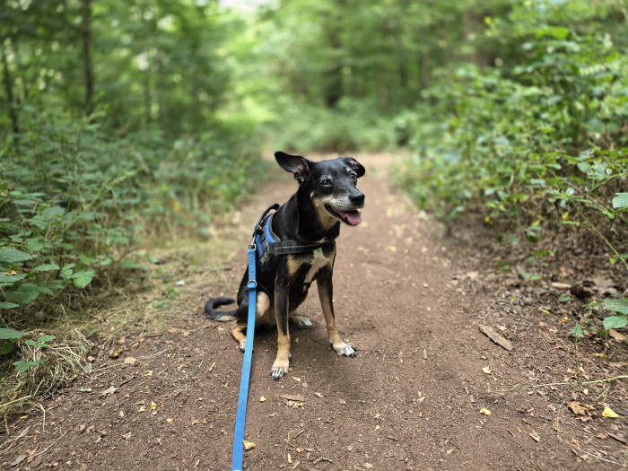 ... als auch in der Totalen. (Bild: Tobias Költzsch/Golem.de)