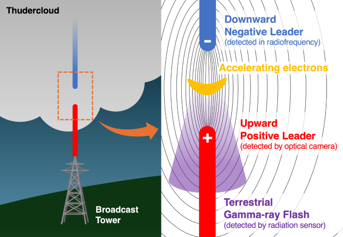 Schematische Darstellung, wie beim Zusammentreffen von unterschiedlich geladenen Blitzkanälen ein abwärts gerichteter terrestrischer Gammastrahlenblitz entsteht. (Bild: Yuuki Wada / U. Osaka)