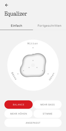 Diese Equalizer-Einstellungen gibt es für den Headphone (1). (Bild: Nothing/Screenshot: Golem.de)