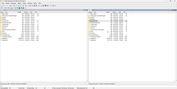 Der Altap Salamander unter Windows (Screenshot: Florian Bottke)
