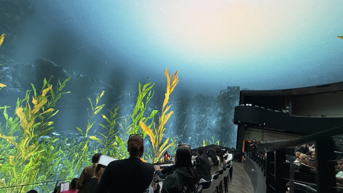 Vor der Aufführung läuft eine Art Aquarium-Bildschirmschoner, der in echt ebenfalls besser aussieht als auf dem Foto. (Bild: Steinlechner / Golem.de)
